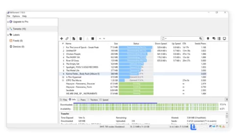 BitTorrent 7.11.0 on Windows, screenshot 1 of 2
